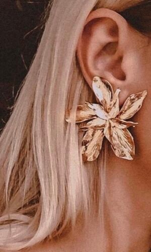 Pendientes Noa